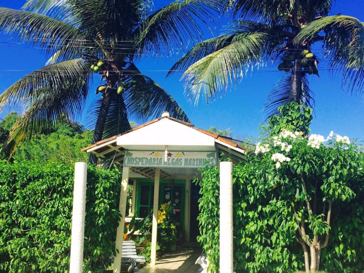 Algas Marinhas Inn Fernando de Noronha